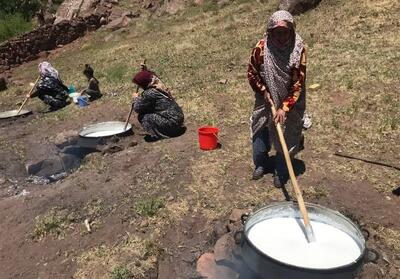 برگزاری دومین جشنواره گردشگری   شکرانه شیر   در تربت حیدریه - تسنیم