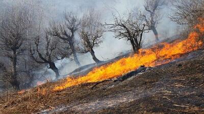 برخورد قاطع با مسببان آتش سوزی عمدی جنگل ها در کهگیلویه وبویراحمد