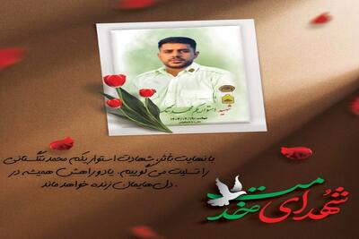 شهادت ستوانیکم محمد تنگستانی در حین ماموریت مقابله با قاچاق کالا در بندرلنگه