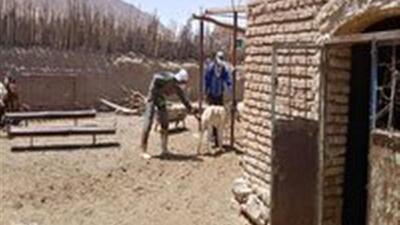 هشدار دامپزشکی طبس در خصوص بیماری هاری