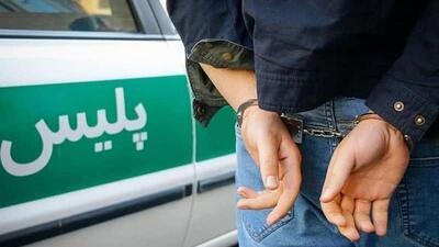 دستگیری متهم کلاهبرداری ۱۰۰ میلیارد ریالی در ایلام