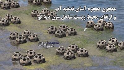 پیشرفت زیست‌محیطی در خلیج سان‌دیه‌گو: معجون معجزه آسای تصفیه آب (فیلم)