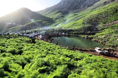 نقاشی زنده بهار در پاوه (فیلم)