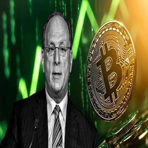 پیش‌بینی مدیرعامل بلک‌راک: بیت کوین در افق ۵ تا ۱۰ سال آینده به ۵۰۰,۰۰۰ دلار خواهد رسید