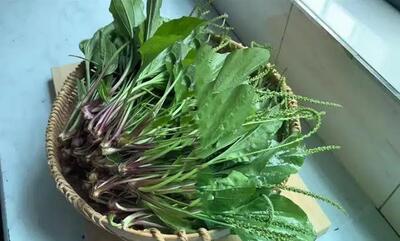 چای خانگی موز / طرز تهیه چای گیاهی