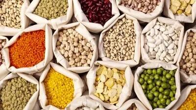 کاهش حیرت‌انگیز قیمت حبوبات در اردیبهشت! لوبیا چیتی و عدس با قیمت جدید روانه بازار شدند