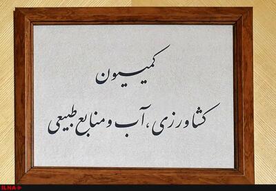 مهلت دو روزه به وزارت جهاد کشاورزی برای پرداخت مطالبات گندم‌کاران/ مسئولان در صورت کوتاهی، به دستگاه‌های نظارتی معرفی می‌شوند