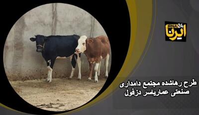 فیلم| طرح رها شده مجتمع دامداری عمار یاسر دزفول