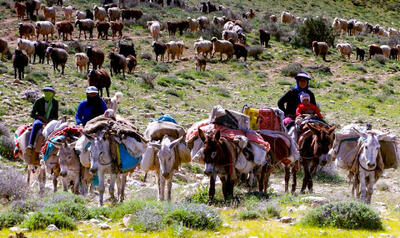 کوچ بهاری عشایر گلستان؛ بازگشت به ییلاقات زادگاه