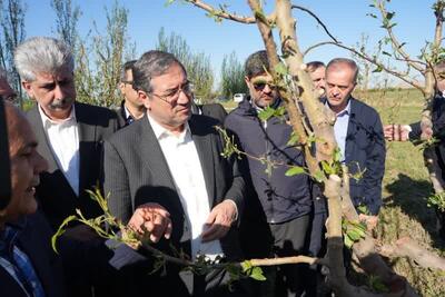 حضور دولت در کنار کشاورزان خسارت دیده آذربایجان‌غربی