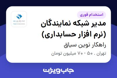 استخدام مدیر شبکه نمایندگان (نرم افزار حسابداری) در راهکار نوین سیاق