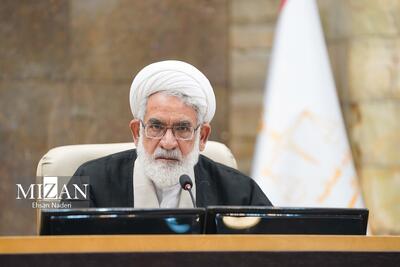 رئیس دیوان عالی کشور : ۱۸ رأی وحدت رویه در هیئت عمومی در سال گذشته صادر شد