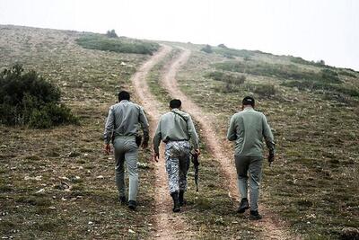 تلاش سازمان منابع طبیعی در جهت رفاه جنگلبانان