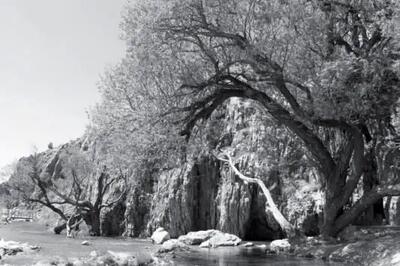 کانون طبیعت‌گردی ایران منتظر اجرای مصوبات است