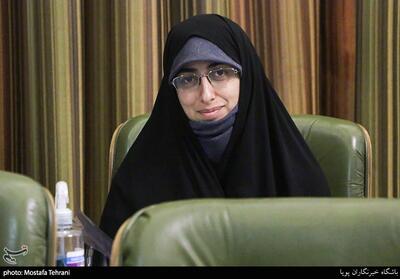 ضرورت اجرای طرح   سفیران فرهنگی محله   در شهرداری تهران - تسنیم