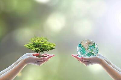 وزارت آب و محیط زیست؛ تضعیف سازمان یا ارتقای حفاظت؟ - تسنیم