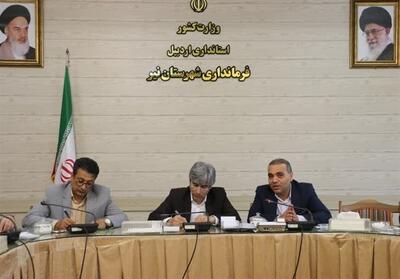 جشنواره طبخ آبزیان در نیر برگزار می‌شود - تسنیم