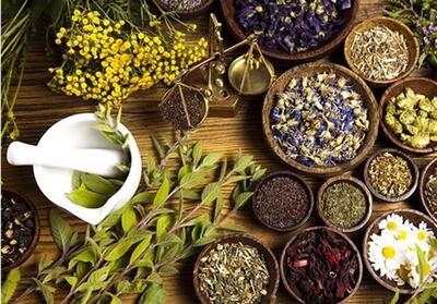 تشکیل کمیته رفع چالش‌های صنعت گیاهان دارویی در اصفهان - تسنیم