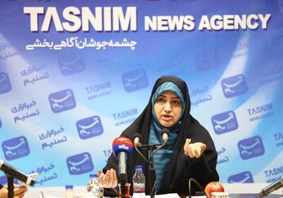 رئیس فراکسیون محیط زیست: در زمینه آبخیزداری قانون نداریم - تسنیم