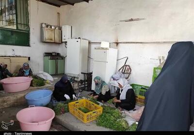 پرداخت 300 میلیارد تسهیلات مشاغل خانگی در لرستان - تسنیم