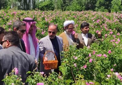 ثبت جشنواره گل محمدی فرخد در تقویم رویدادهای گردشگری - تسنیم