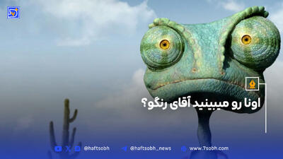 اونا رو میبینید آقای رنگو؟