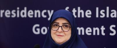 تاکید مهاجرانی بر لزوم تمرکز بر توسعه انرژی‌های تجدیدپذیر برای جلوگیری از قطعی برق