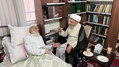 عیادت آیت الله سبحانی از آیت الله نوری همدانی