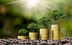 سرمقاله شرق/ سرمایه‌گذاری فقط مالی نیست