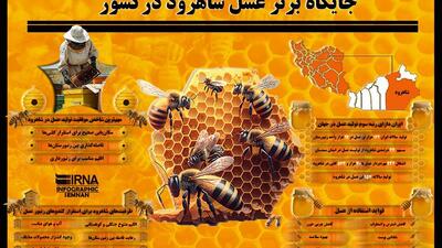اینفوگرافیک | جایگاه برتر عسل شاهرود در کشور