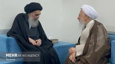 آیت الله جوادی آملی با آیت‌ الله  سیستانی در نجف اشرف دیدار کرد