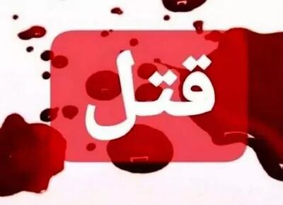 خبر وحشتناک از قتل بی رحمانه/ ماجرای قتل دزد شب‌رو به دست صاحبخانه اندیشه معاصر