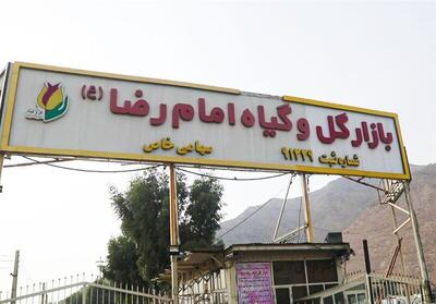 احتمال پلمب یک بازار گل و گیاه در تهران