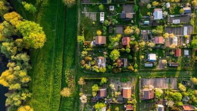 گیاهان چگونه به کم کردن آلودگی هوا کمک می کنند ؟
