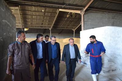 بازدید مدیرعامل صنایع شیر ایران از کشت ، صنعت و دامپروری پگاه فارس