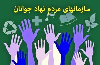راه‌اندازی هشت سازمان مردم‌نهاد جدید در ایلام    ایلام