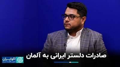 صادرات دلستر ایرانی به آلمان+ فیلم