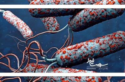 دردسرهای ویروس شرقی‌ها بر سلامت ایرانی‌ها - اکونیوز