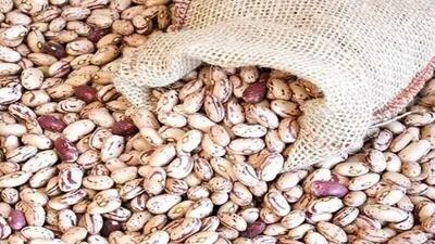 آیا قیمت نیم میلیونی لوبیا چیتی قانونی است؟/ کشف نرخ واقعی!