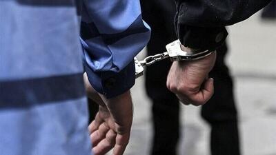 پلیس وارد عمل شد؛ ۲ تبعه افغان به جرم توهین به دختران ایران بازداشت شدند | ویدئو