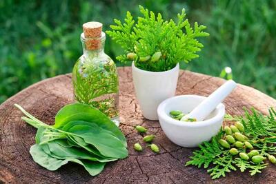 چطور طبیب واقعی را از دکترهای علفی تشخیص دهیم؟