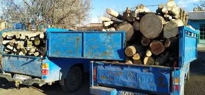 سه نفر از قاچاقچیان چوب دستگیر شدند