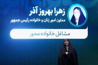 نقش سرمایه عاطفی در مشاغل خانگی/ ۷۰ درصد تولید ملی برخی کشورها از مشاغل خانگی است