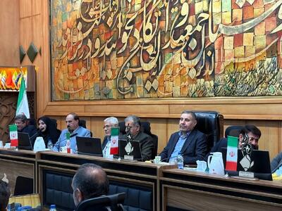 احزاب هنوز در تراز تربیت مدیر ملی عمل نمی‌کنند