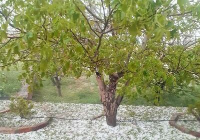 هشدار بارش تگرگ در شهرهای شمالی و شرقی آذربایجان‌شرقی