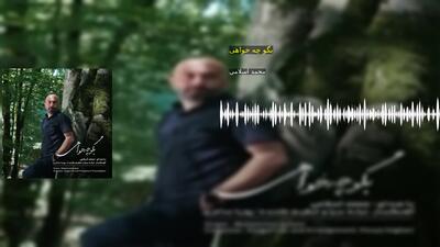 بگو چه خواهی محمد اسلامی