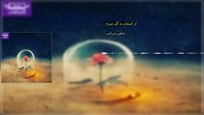 از آسمان به گل سرخ شاهین شرافتی