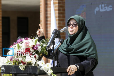 توئیت سخنگوی دولت درباره زنی که الگوی علمی برای دختران ایرانی است