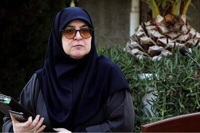 فیلم/ واکنش سخنگوی دولت به گرمای هوا حین سخنرانی