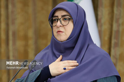 واکنش سخنگوی دولت به گرما؛ ترک محل سخنرانی